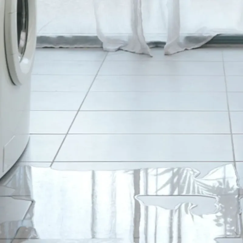 Appliance Leak Cleanup in Southside Place, TX