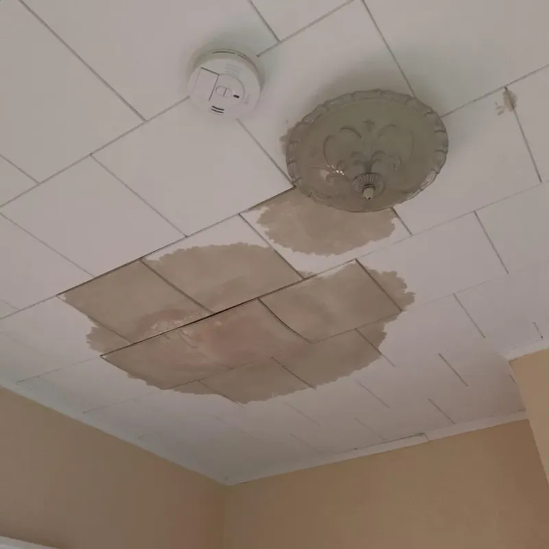 Ceiling Water Damage Repair in Southside Place, TX