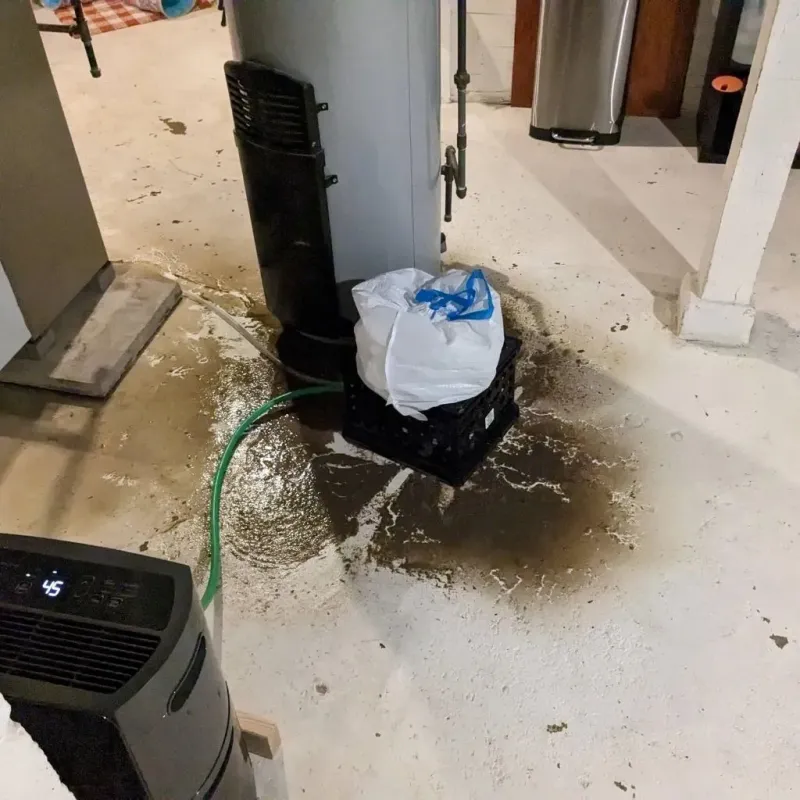 Sewage Backup Cleanup Service in Southside Place, TX